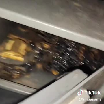 Whatever-the-heck that is growing out of the alleged meteor he found in a burning hole.