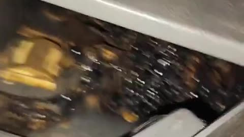 Whatever-the-heck that is growing out of the alleged meteor he found in a burning hole.