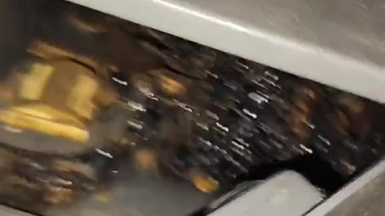 Whatever-the-heck that is growing out of the alleged meteor he found in a burning hole.