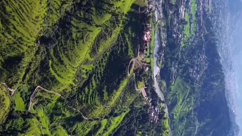 Hii… sometimes nature says hello in silence.”