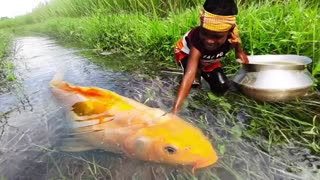 Big Fish & Boy
