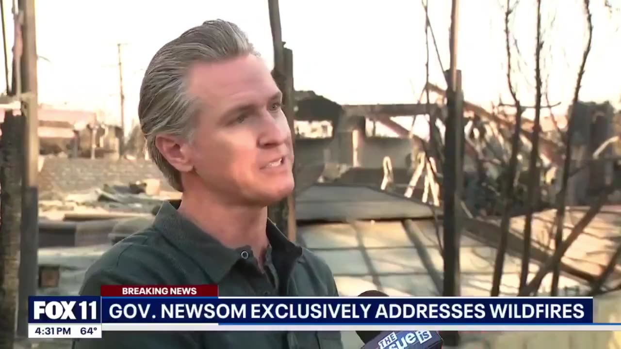All You Need To Know About Newscam and the Fires