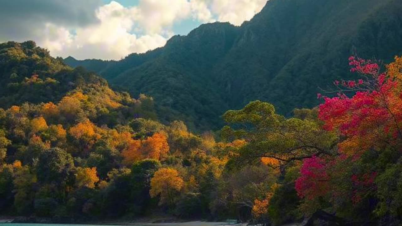 🙏✨Oración Inspirada en las Lecturas de Hoy ✨🙏