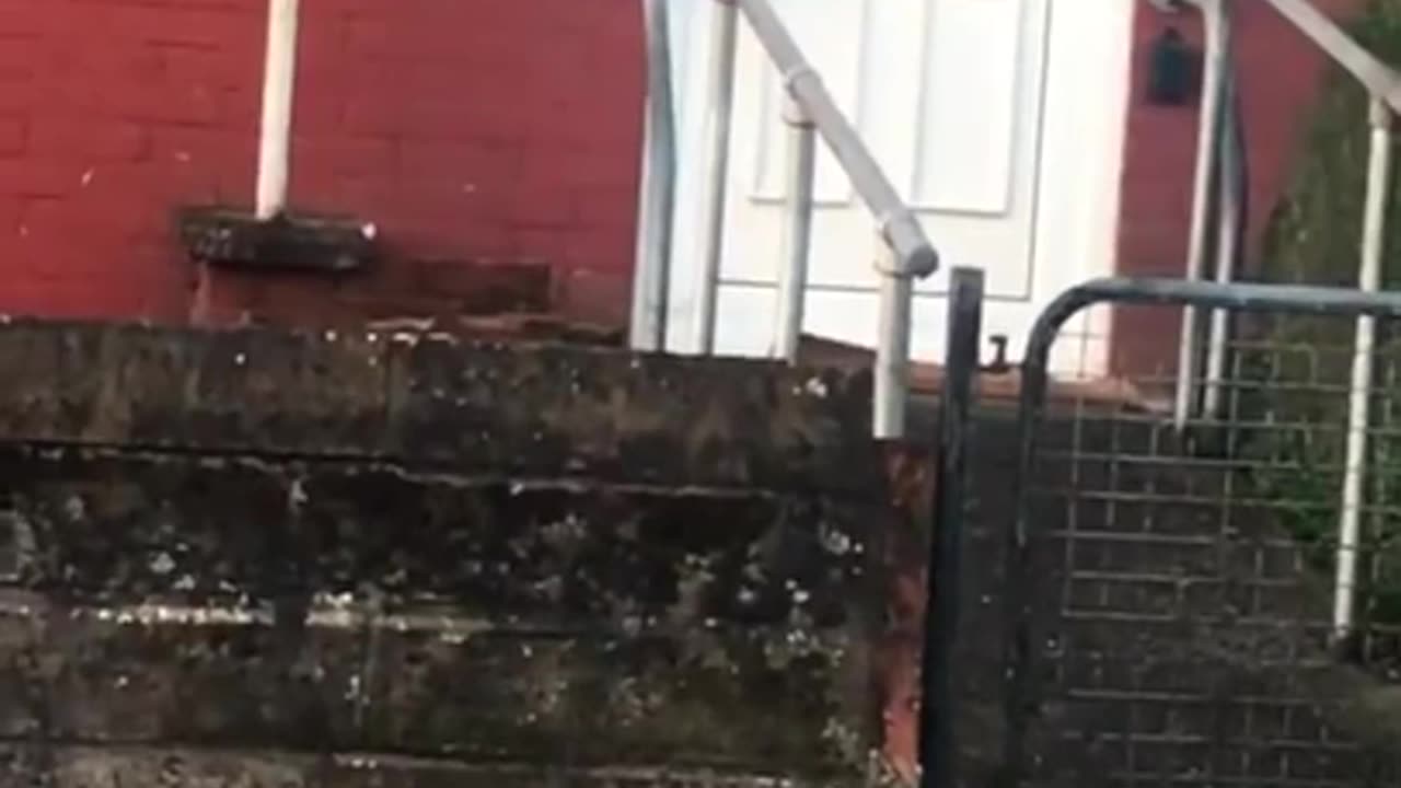 Knock, Knock!