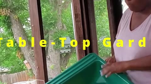 Table Top Gardener - #catshobbycorner #gardening
