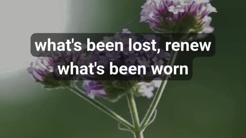 Need a Fresh Start? Try This Powerful Prayer for Renewal #prayer #christianprayer #faith #amen