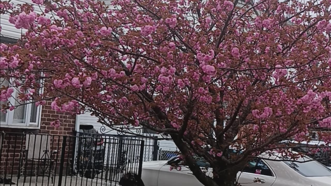 Spring colors.