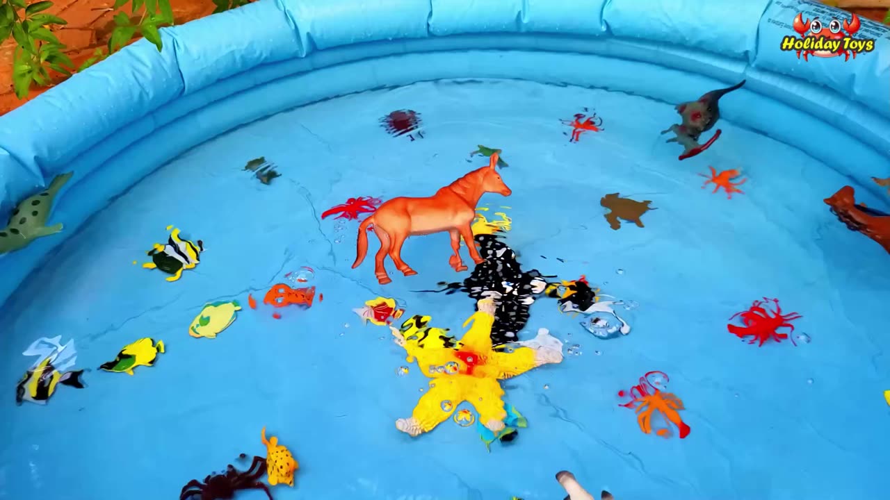 Butterflies Land on Orange Flowers in the Middle of the City