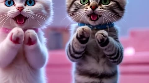 PitiCat & Max’s Apache Dance APT| Funniest Dancing Kittens Shorts