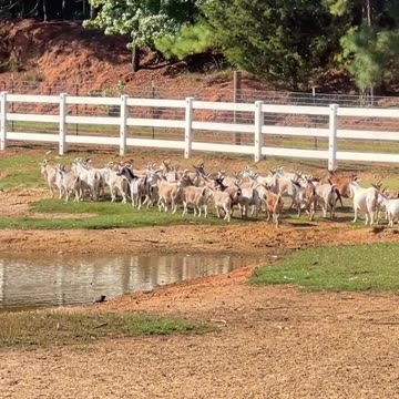 She told them to get going, and they did!!!