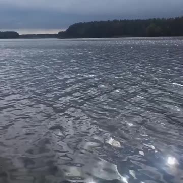 Relaxing on the lake