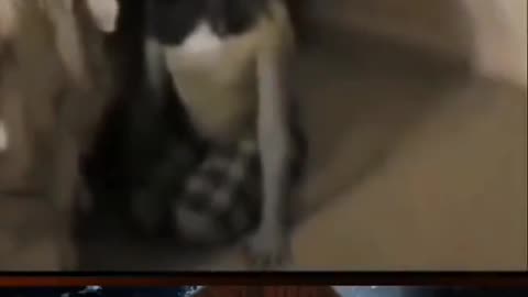 😱👻 This Scared Me! Unexplained Phenomenon! | TheHauntingHour