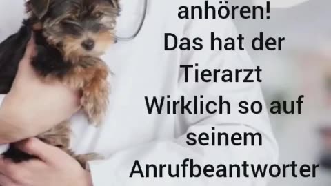 Tierarzt mit wahrer Ansage zur aktuellen Situation auf seinem Anrufbeantworter!