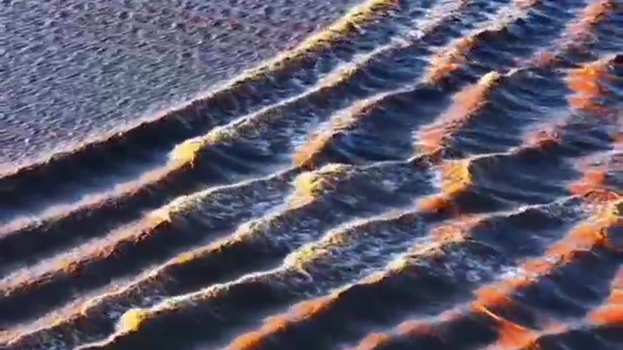 NATURAL PHENOMENON