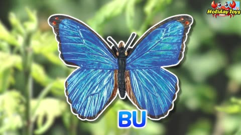 Guess Insect that Comes Out of the Hole in the Ground