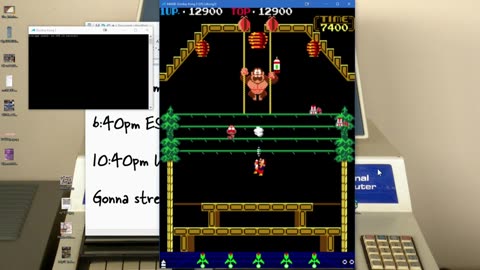 Donkey Kong 3 (MAME)