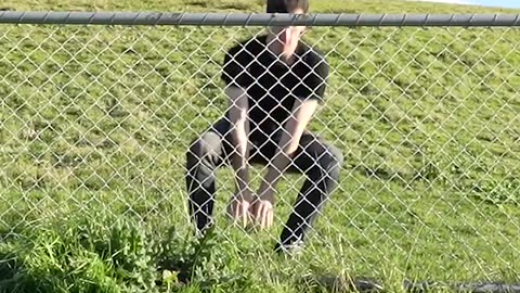 How animals get over a fence