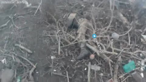 Russian fighters stormed Ukrainian positions. No prisoners