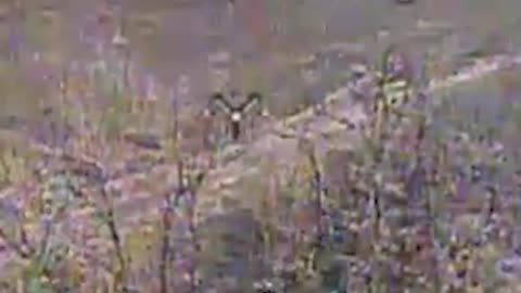 Operators of the 412th Nemesis Brigade show vivid footage of hunting enemy MLRS