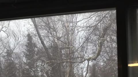 Wind Storm December 2025