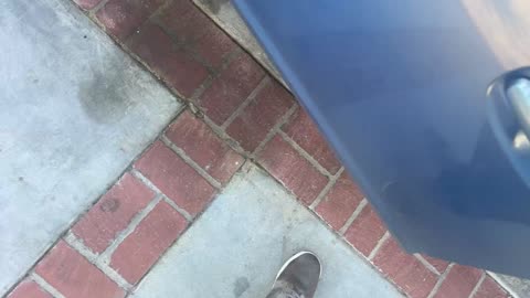 IRL LA