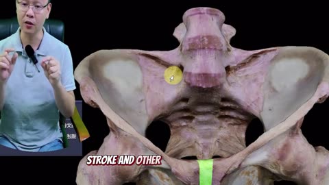 Meditation and Neuroscience: What Science Reveals About the Meditating Brain