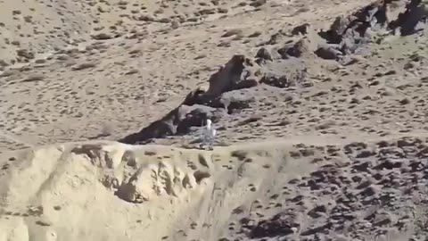 China deploying a robot along the China-India border to monitor Indian troops.