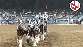 Trent Loos in the Morning - 12/31/2025