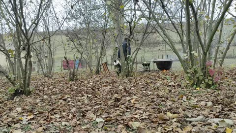 Kənd Çolpasından Toyuq Sousu, Outdoor Cooking Channel, Country Life Vlog