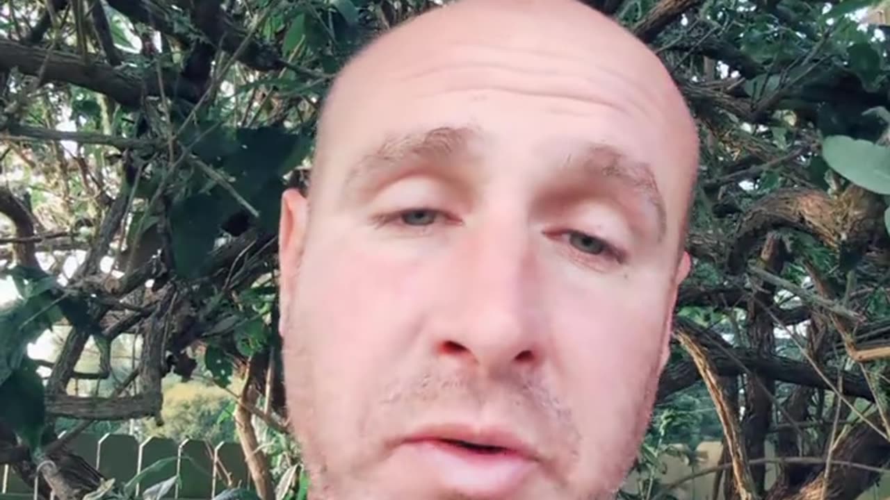 Why Reddit is the Single Best Platform