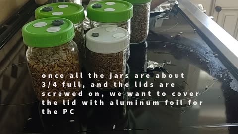 Basic Mushroom Grain Spawn Preparation At Home