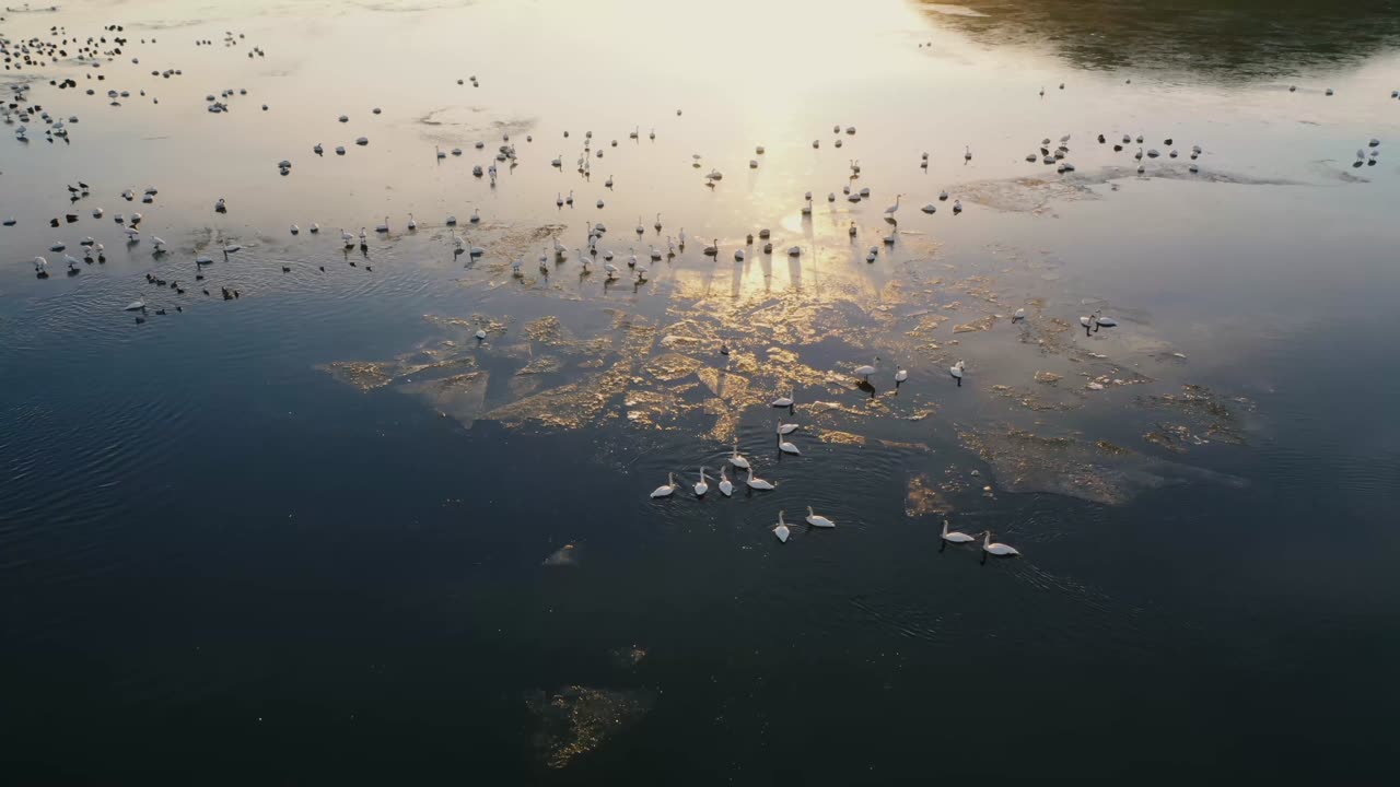 Nature and Animals