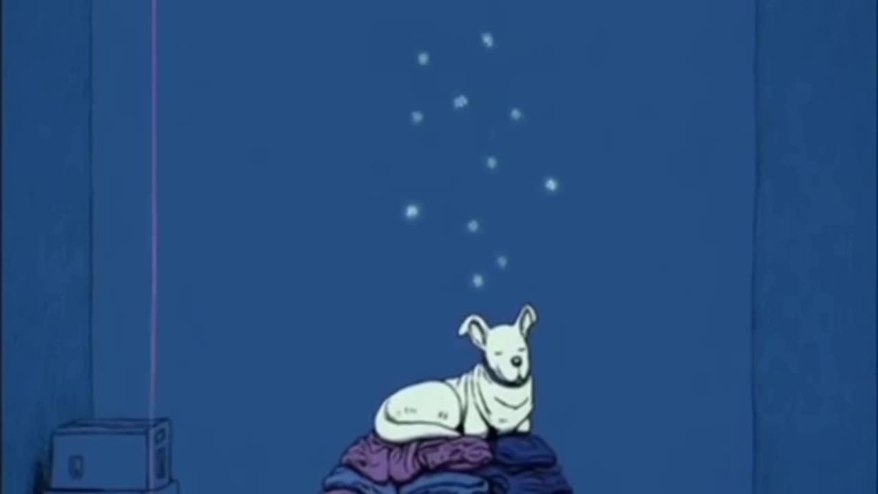 I’ve decided I really appreciate dogs.