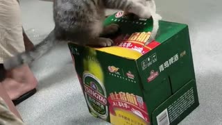 😂🙀 He Couldn't Believe What Happened Next! | FunFM