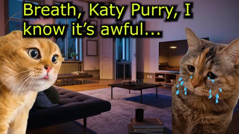 What Does a Cat Do When He Needs to Protect his Girlfriend (Ep.96)