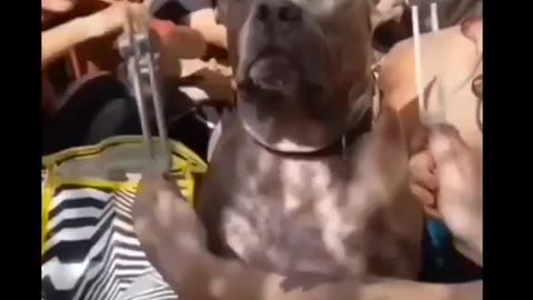 When Your Frequency Is Higher Than Your Distractions