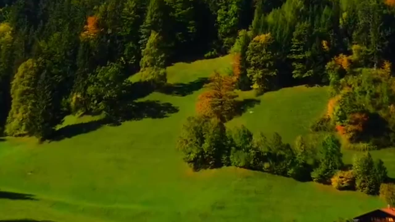Nature🍀🌸