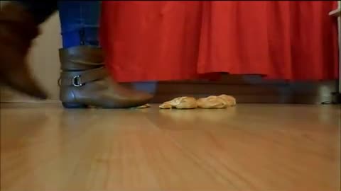 Crush Sisters Walk Over Croissants