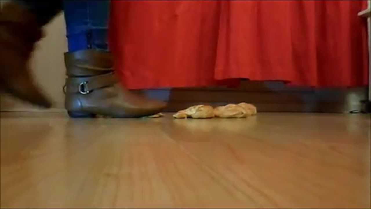 Crush Sisters Walk Over Croissants