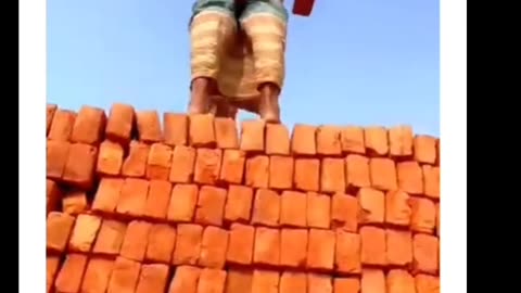 funny video 2