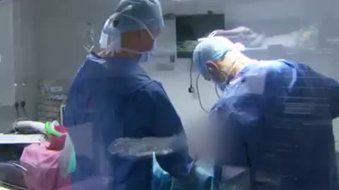 Border Collie has been left in a horrific condition 💔 He needs surgery on his shattered knees