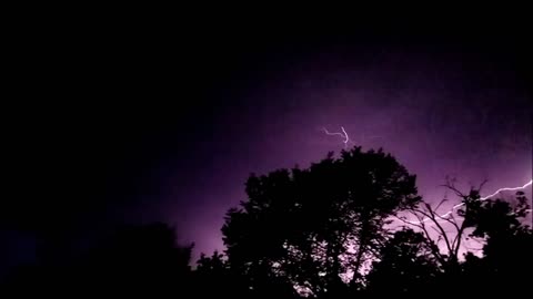 Lightning dog