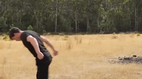If animals did Parkour 😂😂😂