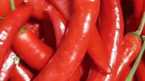 Papryka chili