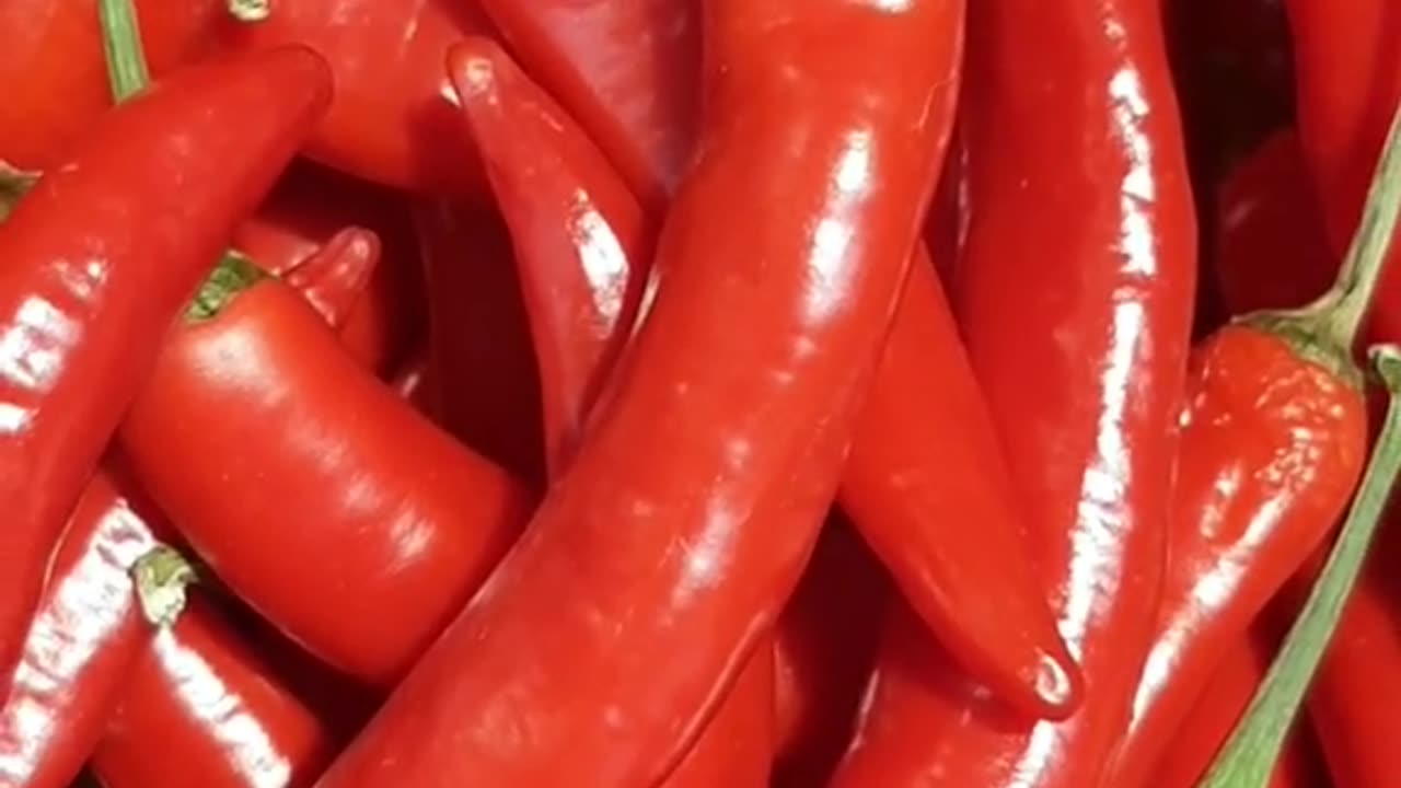 Papryka chili