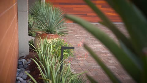 Tropical Modern Landscape in The Front & Natural Florida Wonderland in The Back!