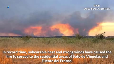 L'Espagne à l'épicentre des incendies de forêt : le feu atteint Madrid