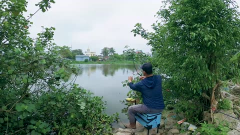 Sturgeon Stories A Living Fossil