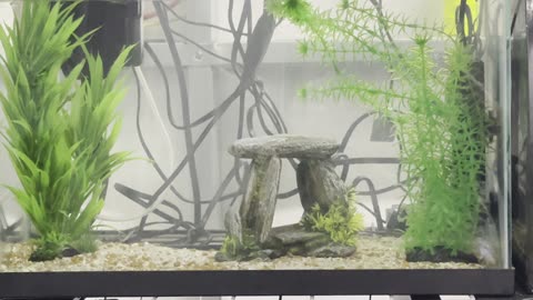 Getting bigger