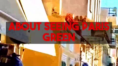 Paris Eco Friendly Driving Tour Insights